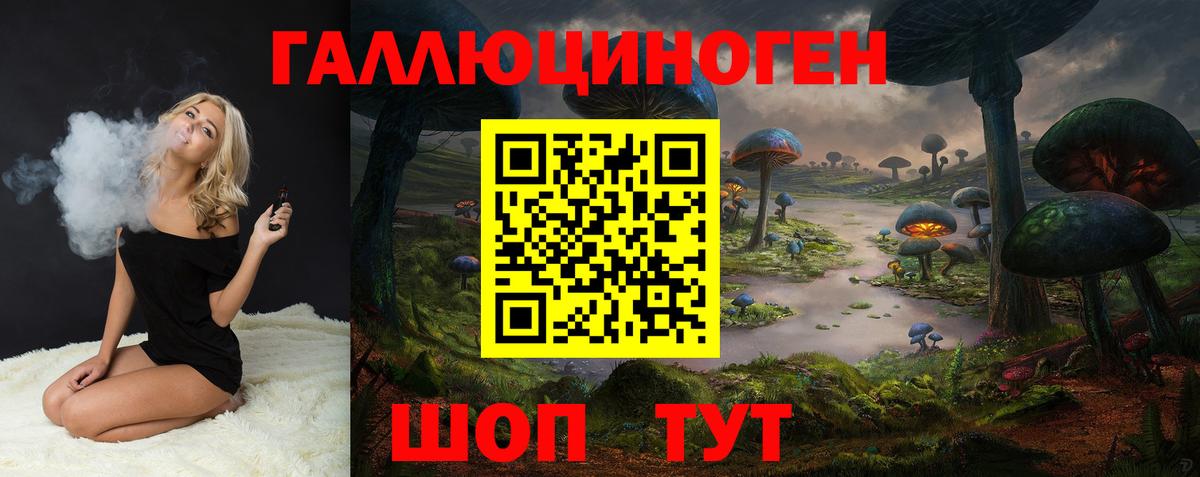 Псилоцибиновые грибы GOLDEN TEACHER  Вход с VPN  Сатка  закладка  Псилоцибиновые грибы Psilocybine cubensis 
